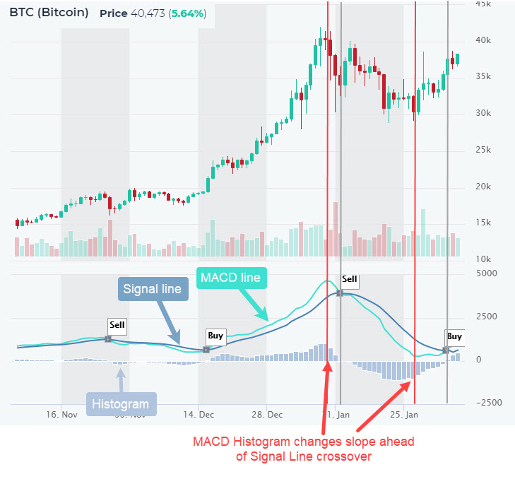 crypto momentum