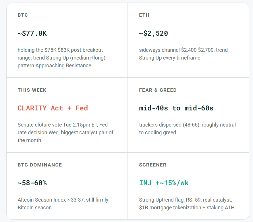 Daily crypto market performance 